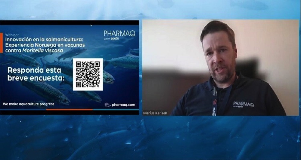 Webinar1.jpg