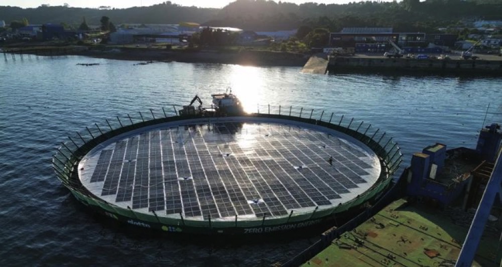 jaulasolar.jpg