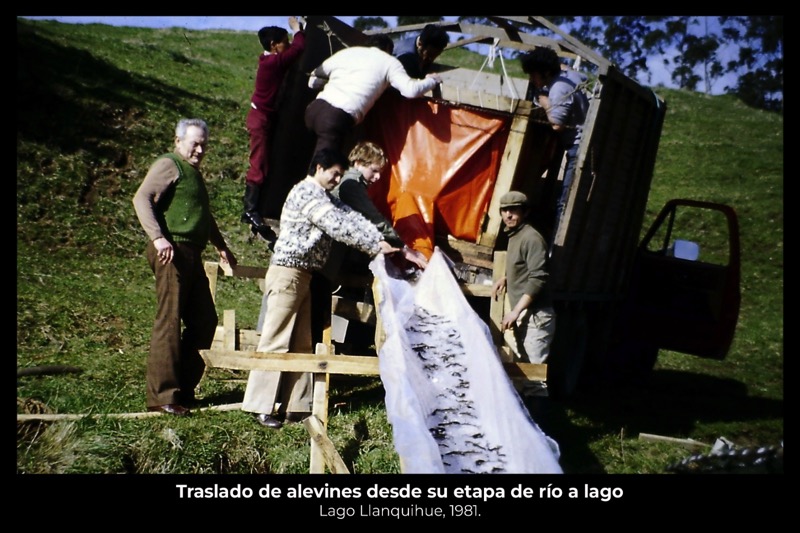 Muena4.jpeg