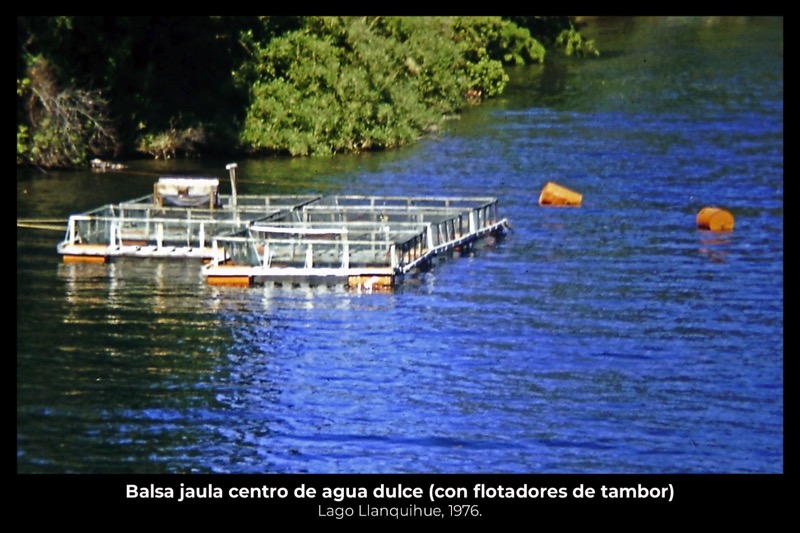 Muena6.jpeg