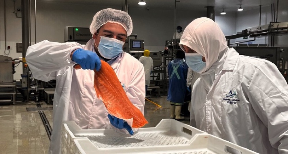 ExportacionesConsejoSalmon2.jpg