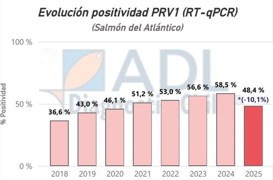 PRV1.jpg