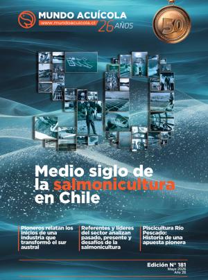 PORTADA181.jpg