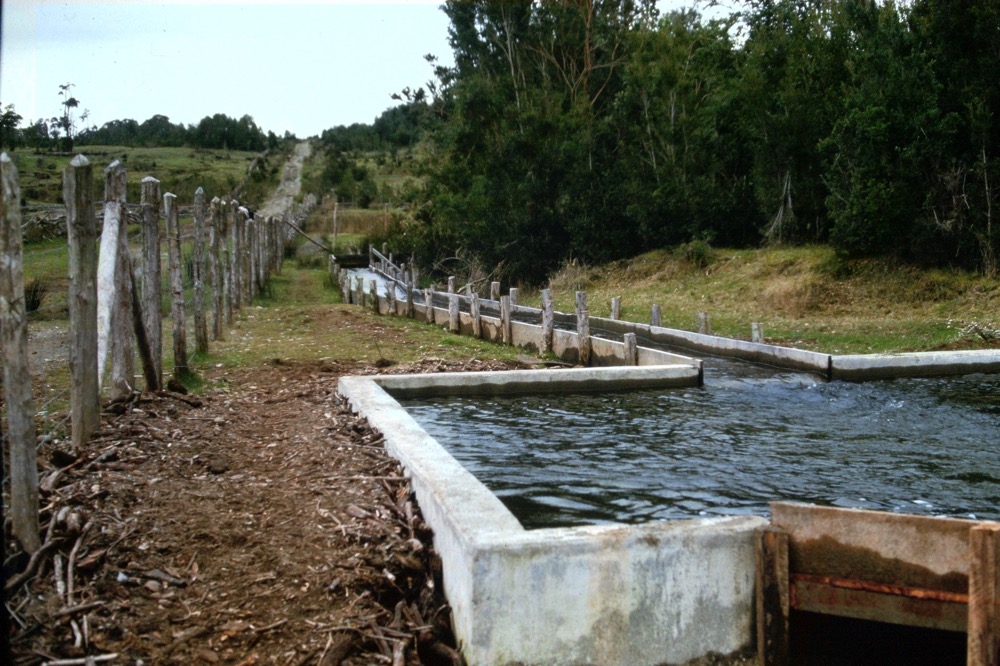 B02.jpg