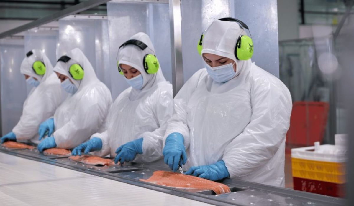 ExportacionesDeSalmonRusia.jpg